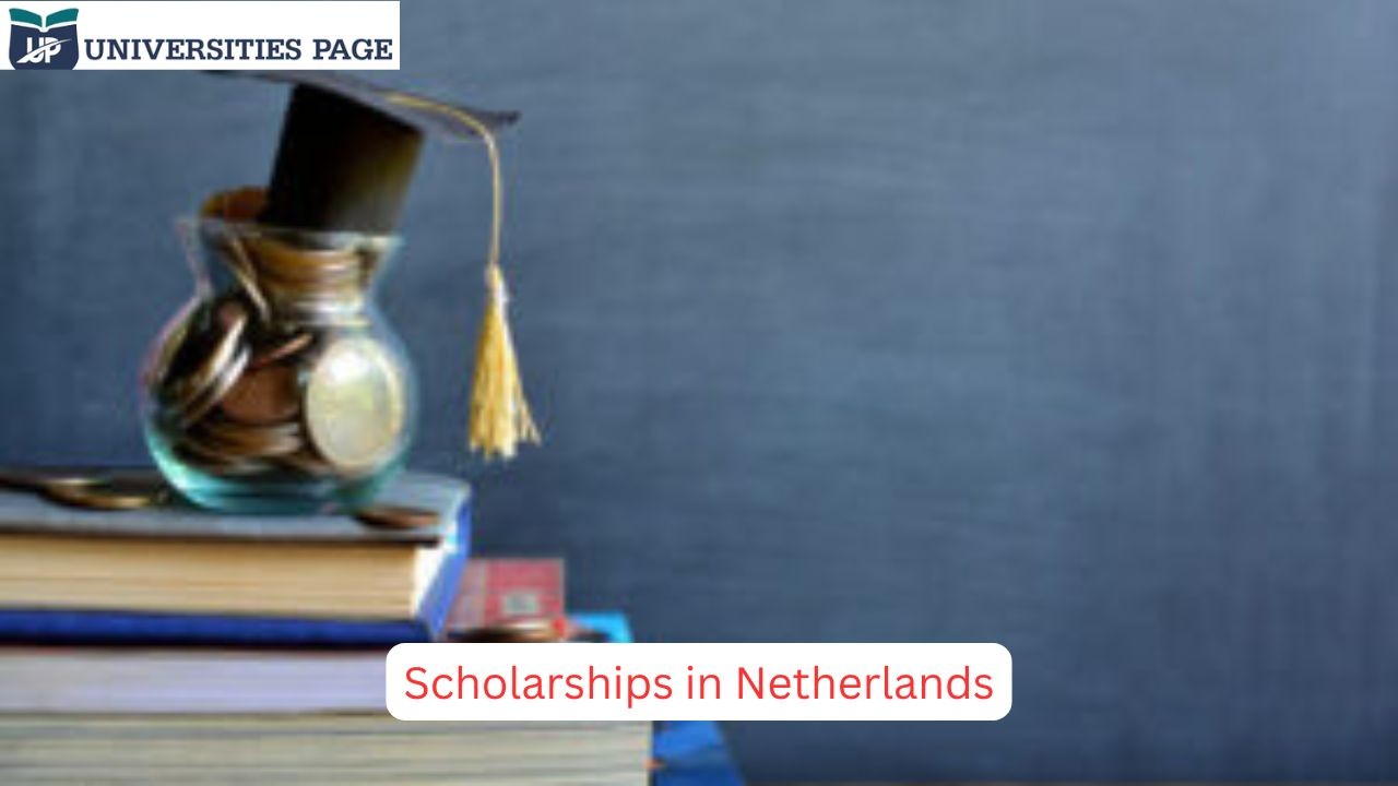 scholarships in netherlands